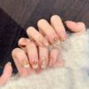 主图-07 Translucent Nude Gold Foil Flower Koi Fish Gentle Chinese Style Press-On Nails